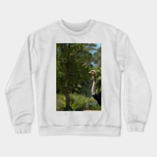 Peek-A-Boo Crewneck Sweatshirt